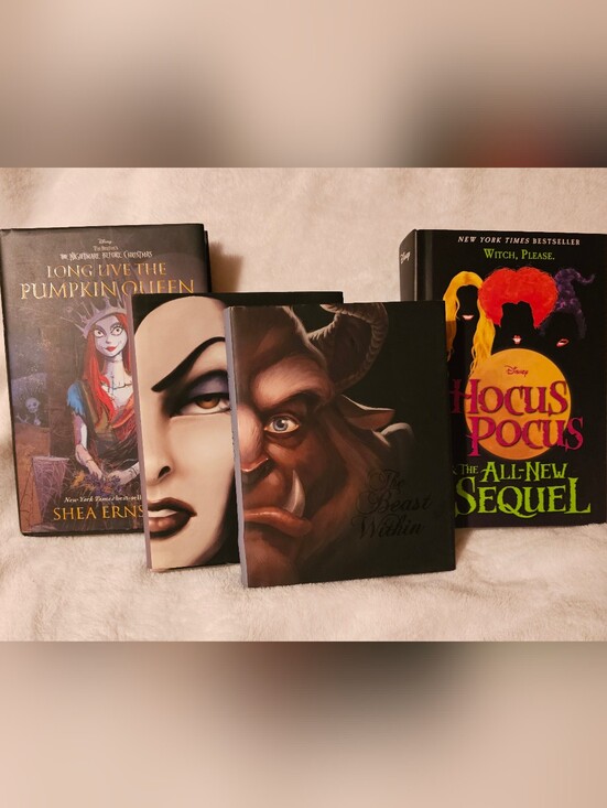 Disney Other - Disney 4 Book Bundle Hardcover.